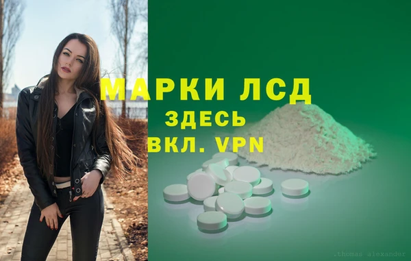 apvp Алзамай