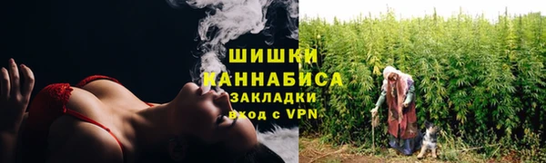 apvp Алзамай