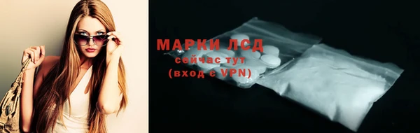 apvp Алзамай