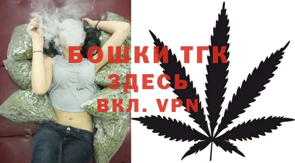 дурь Алексин