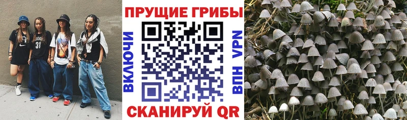 магазин продажи Берёзовка MEGA онион Псилоцибиновые грибы мухоморы