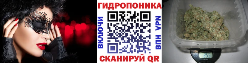 наркошоп  Берёзовка  omg онион  Конопля конопля 